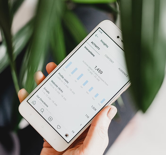 Home 30 Social Media Audit