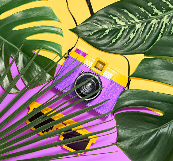 Home 27 summer hipster 2025 03 10 03 00 20 utc 1